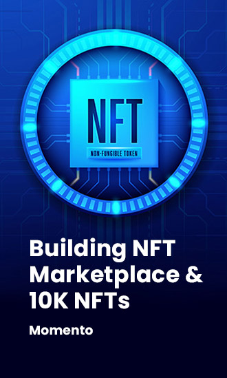 momento nft marketplace portfolio.jpg